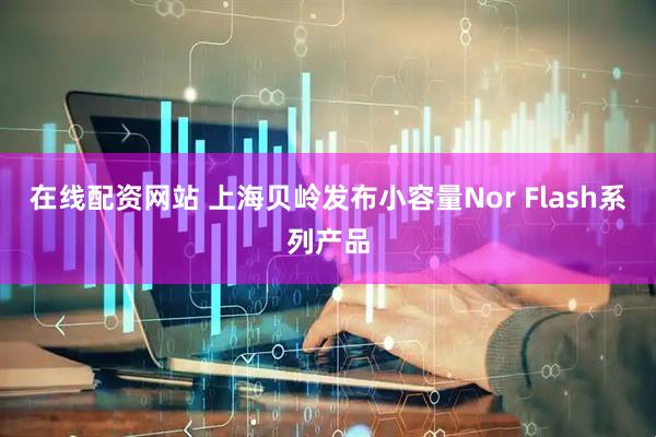 在线配资网站 上海贝岭发布小容量Nor Flash系列产品